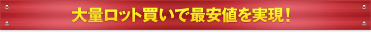 大量ロット買いで最安値を実現！