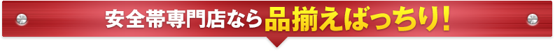 安全帯専門店なら品揃えばっちり！