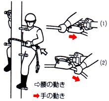 短く